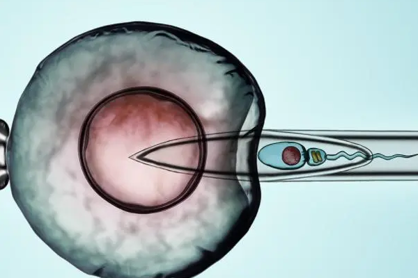 潍坊三代试管成功率高达60%，与这些原因密不可分
