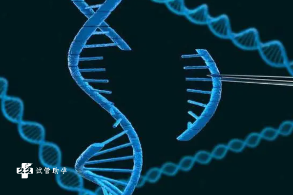 胎停后做试管更容易成功，一文告诉你真实原因