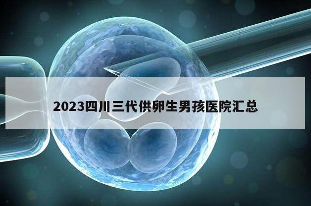 2023四川三代供卵生男孩医院汇总