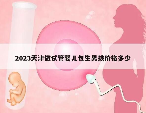 2023天津做试管婴儿包生男孩价格多少