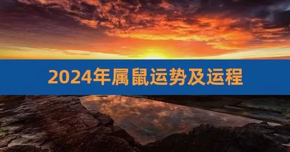 属老鼠的人今年多大了？权威解析属老鼠2024年的运势及运程详解