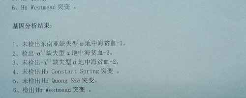 地中海贫血报告单图片