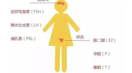 高雄激素血症的症状