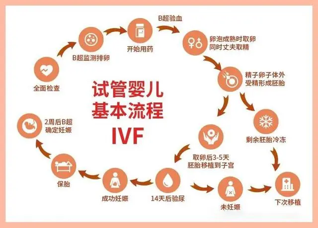 【成功率公布】2024年云南第一人民医院做试管婴儿成功率多少？