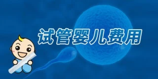 重庆市助孕机构三代试管囊胚移植成功率为什么高？