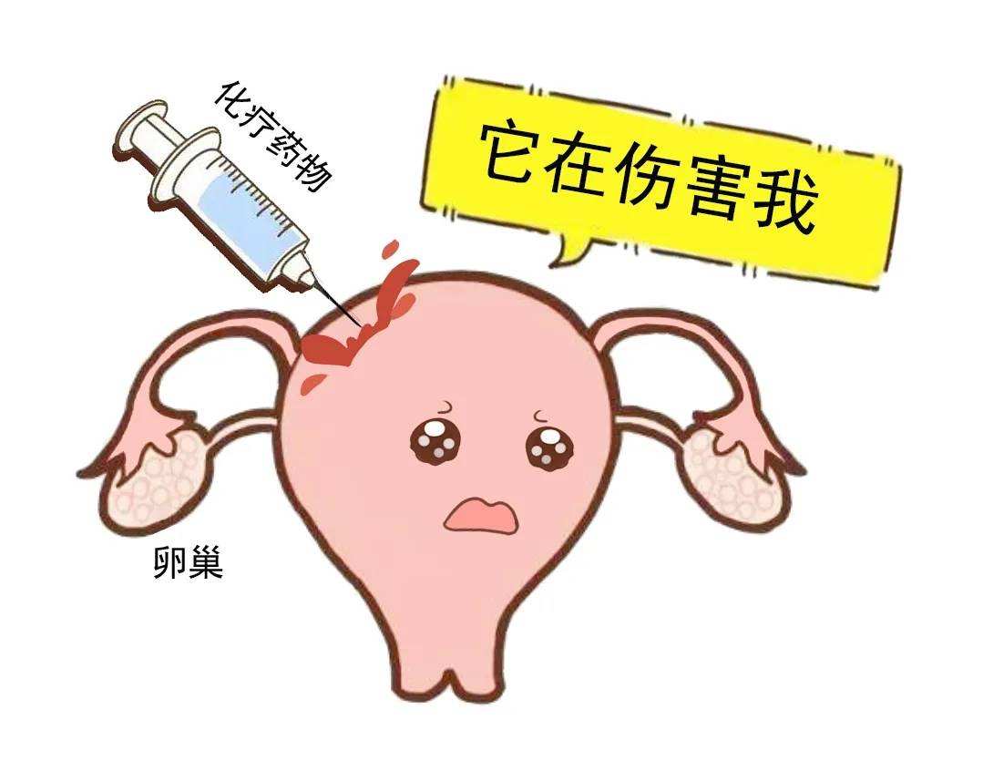 amh卵巢功能正常值是多少？女性amh是什么？