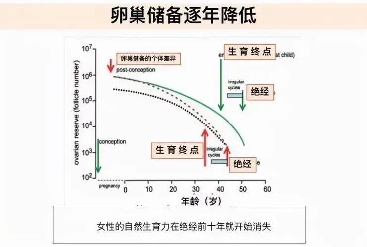 卵巢功能发育不全吃什么好？有哪些注意事项？