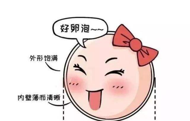 试管怀孕后保胎怎么做