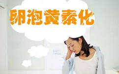 打完夜针后继续做试管多久能代谢完?