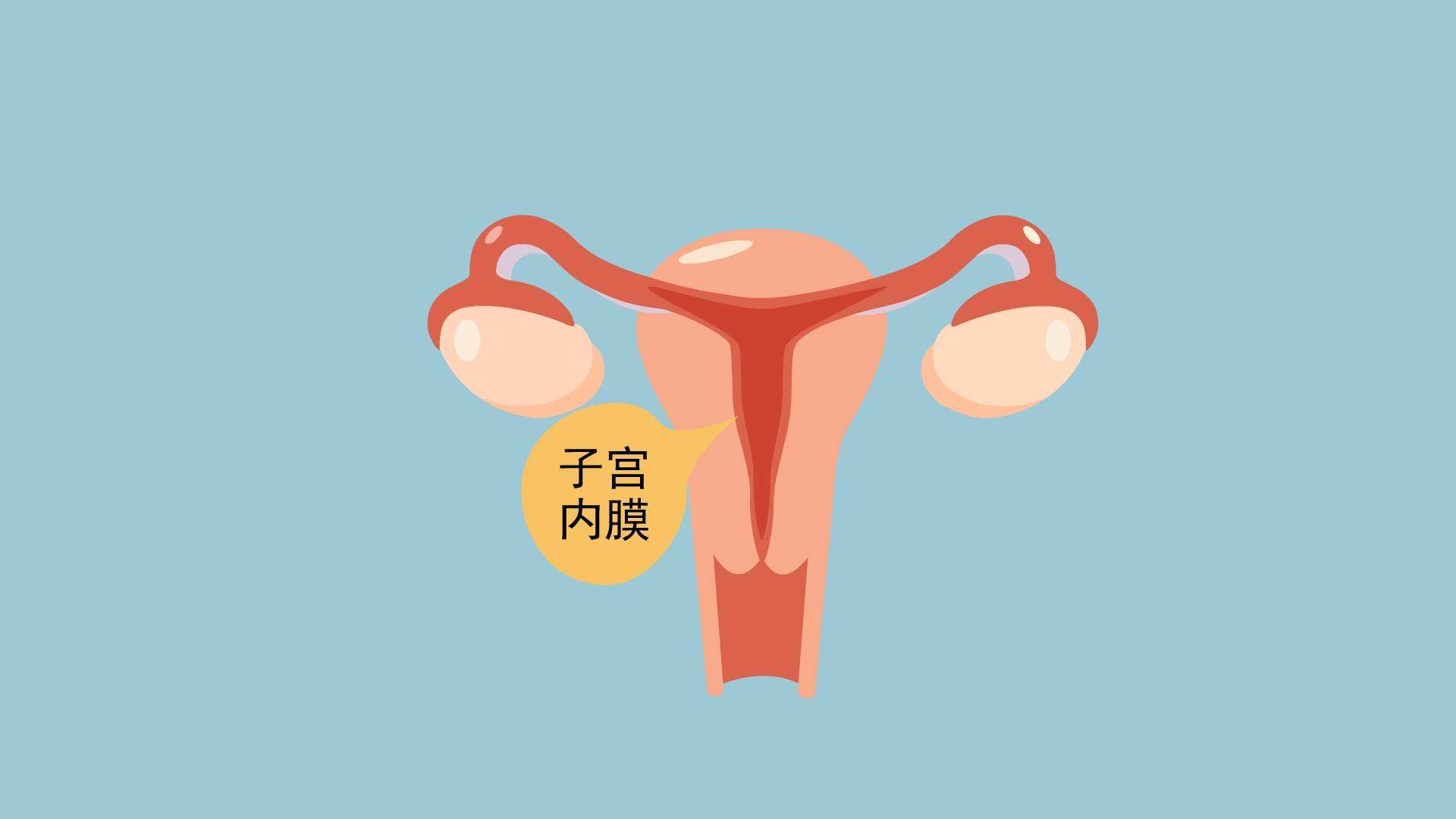 孕前检查子宫内膜厚度多少需要查什么项目？