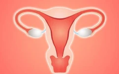 宫腔粘连不治疗的后果是什么？宫腔粘连不治疗会怎么样？
