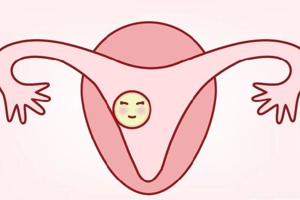 卵巢和子宫怎么保养好：怎么样保养子宫和卵巢?
