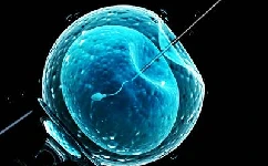55岁做供卵试管成功案例分析，子宫内环境良好是其一条件