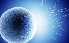男性从精子库挑选精子可以选胚胎性别吗?