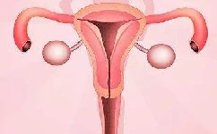 子宫内膜异位：子宫内膜异位症做b超能看出来吗?