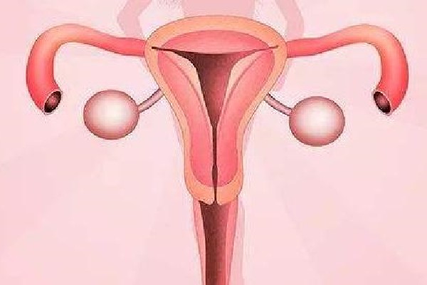 始基子宫做二代试管可以成功怀孕吗？