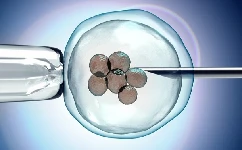 第三代试管囊胚3个做胚胎筛查够吗?