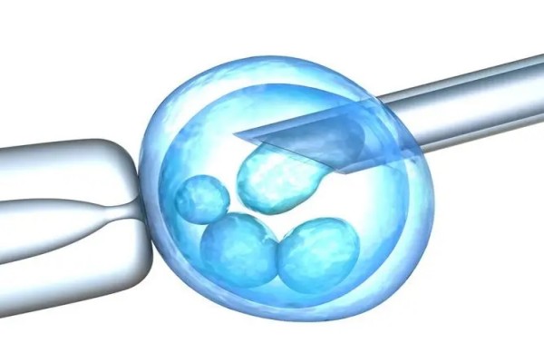 在试管婴儿治疗中，胚胎的分级别是非常重要的。早期的分级别可以帮助医生选择最优质的胚胎进行移植，提高成功率。那么在**后，如何对胚胎进行分级呢?