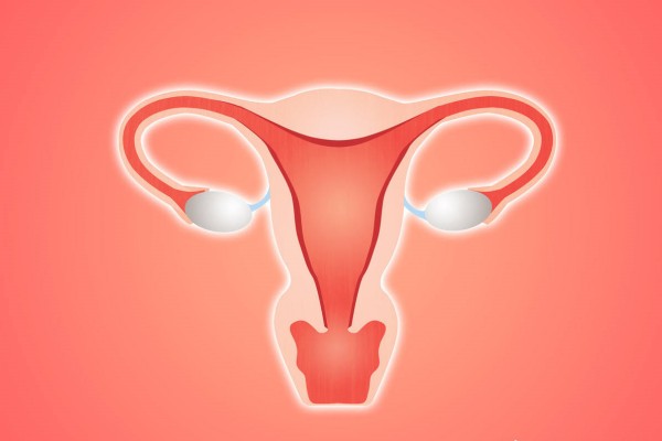 保养子宫卵巢的动作：保养子宫卵巢的动作有哪些?