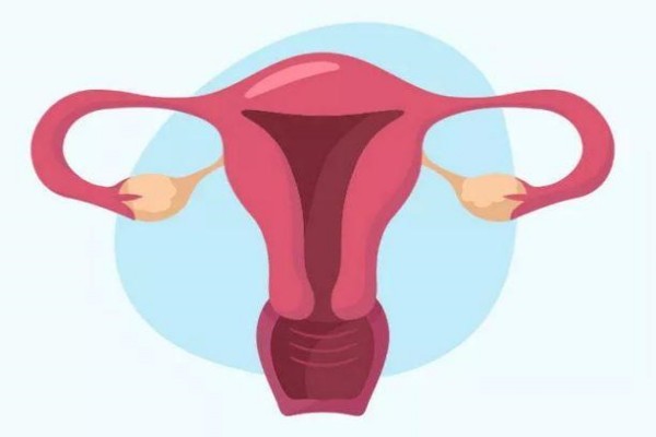 子宫卵巢全切后后遗症：卵巢切除后的后遗症?