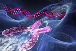 44岁还有三个卵还能做试管只是成功率低