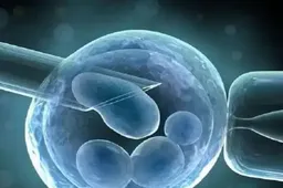 三代试管胚胎筛查非整倍体胚胎无法移植?