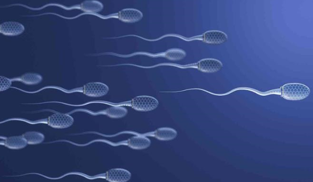 试管婴儿取卵后如何保养卵巢？