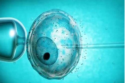 试管婴儿囊胚移植14天hcg26要保胎吗？复查孕酮和翻倍是关键