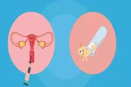 卵巢早衰的试管婴儿能否成功怀孕，卵巢对生殖健康的影响