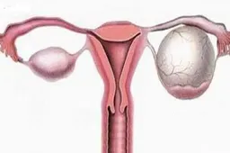 试管移植全部流程痛不痛