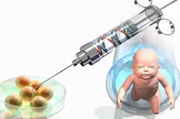 2023香港试管婴儿新技术可以提高成功率？增加患者的生育机会