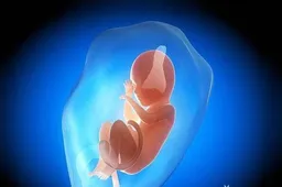 试管婴儿减胎会对另一个胎儿造成损害吗？手术安全前提下进行
