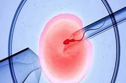 输卵管结扎后可以做试管婴儿吗？