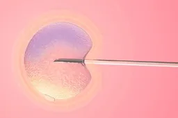 多囊卵巢患者做试管用ppos方案促排的成功率高吗?