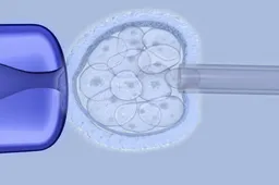 辽宁地区有哪些私立的机构可以做试管技术?网传做试管移植冻胚后要每天吃着床药是真的吗？