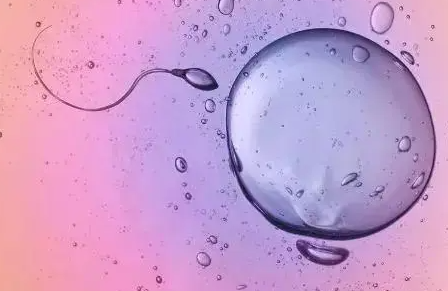 精子成活率不高做试管婴儿会成功吗？