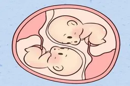 试管婴儿生双胞胎需要多少费用？这里有一份完整的报价清单！