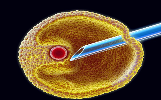 试管婴儿取卵是空卵怎么回事？​试管取卵的奇妙之处！