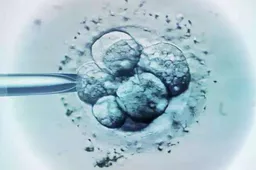 试管婴儿胚胎碎片多有办法治疗吗，碎片化问题的有效治疗方法探究