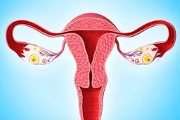 输卵管复通术是什么？成功率高吗？