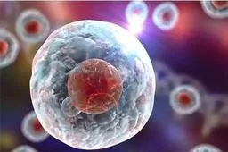 胚胎着床位置受哪些因素影响？