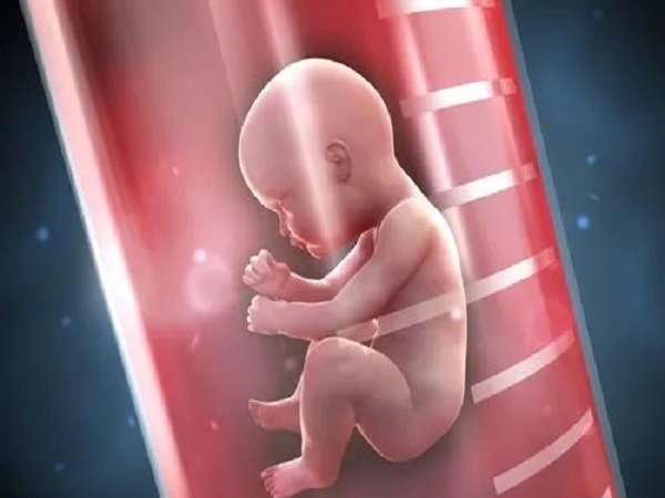 首位次生孩子怎么检查孩子的胎动情况?有哪些问题?
