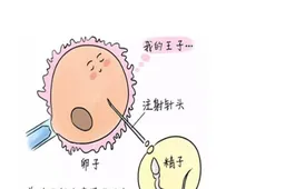 普通发育卵泡跟优势卵泡有差别,内膜多厚才能有优势卵泡?