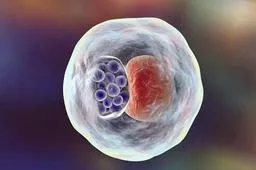 试管婴儿一级胚胎很少的原因分析，和精卵质量有关要知道