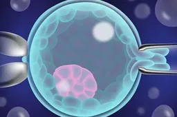 试管婴儿鲜胚移植是属于自然周期吗？看完移植全过程答案一目了然