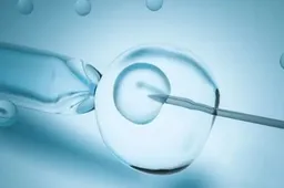 b超检查卵泡没有发育对受孕有什么影响，卵子质量决定着受孕成功率