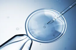 新鲜胚胎移植对女性身体的要求有哪些？这3个必要条件你不可不知