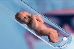 输卵管不孕是怎样引起？输卵管不孕做试管有风险吗？