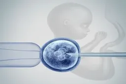 试管婴儿冻胚移植血值翻倍不理想怎么办？根据原因找合适补救方法