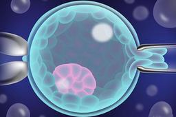 广东试管婴儿囊胚成功率怎么样呢？